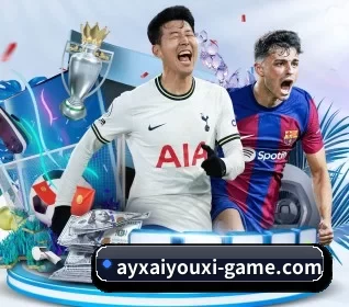 五大服务分区,信息按项目分类 | aiyouxi
