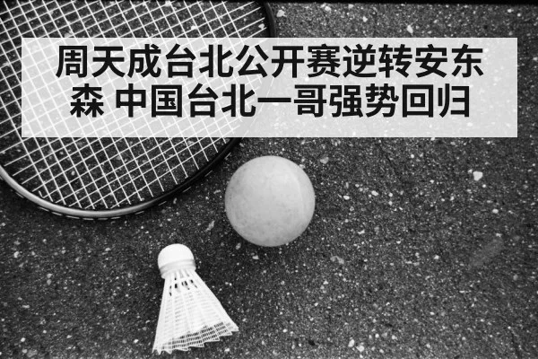 Taipei Open badminton final